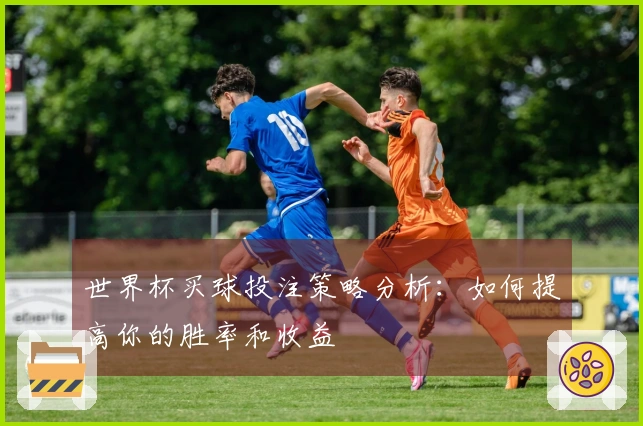 世界杯买球投注策略分析：如何提高你的胜率和收益