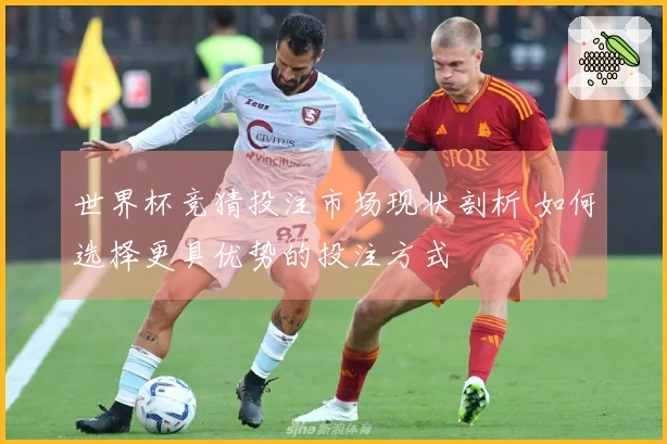 世界杯竞猜投注市场现状剖析 如何选择更具优势的投注方式