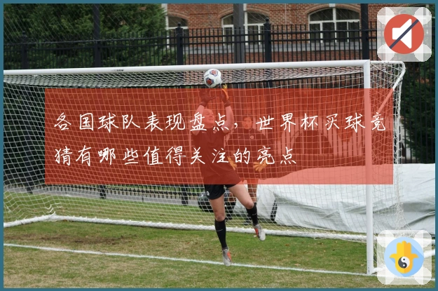 各国球队表现盘点，世界杯买球竞猜有哪些值得关注的亮点