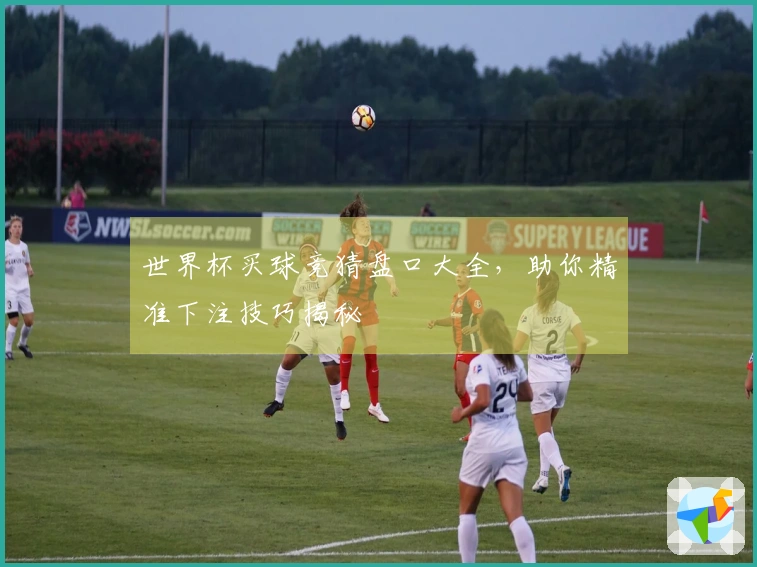 世界杯买球竞猜盘口大全，助你精准下注技巧揭秘