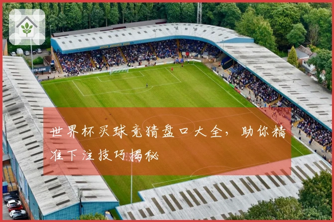 世界杯买球竞猜盘口大全，助你精准下注技巧揭秘
