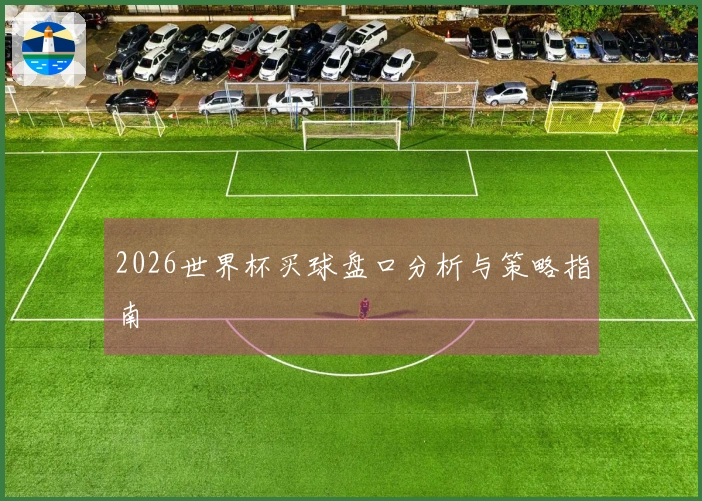 2026世界杯买球盘口分析与策略指南