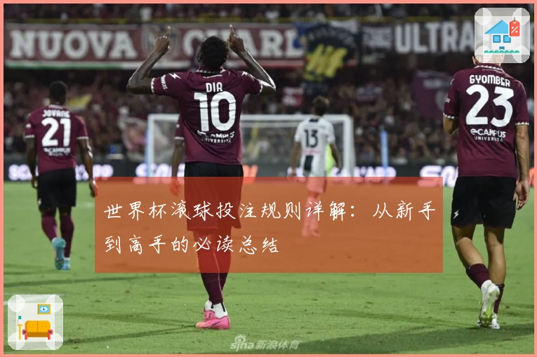 世界杯滚球投注规则详解：从新手到高手的必读总结