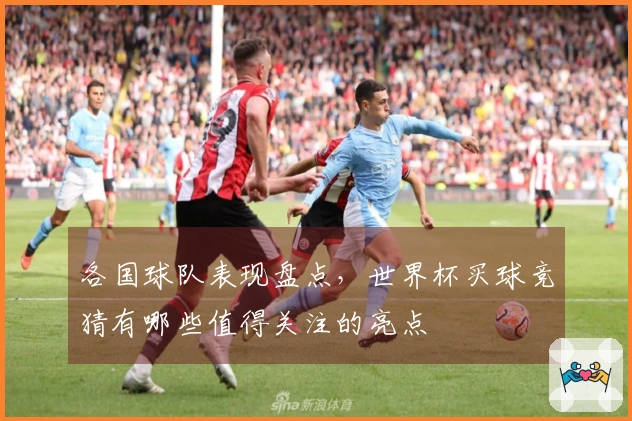 各国球队表现盘点，世界杯买球竞猜有哪些值得关注的亮点