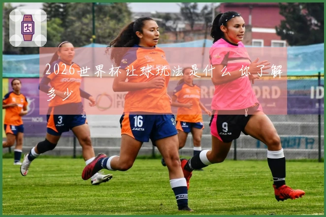 2026世界杯让球玩法是什么 你了解多少